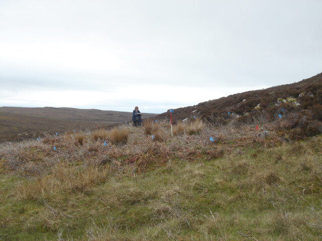 MHG57422_02.JPG