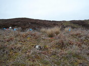 MHG57422_03.JPG