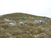 MHG57427_02.JPG