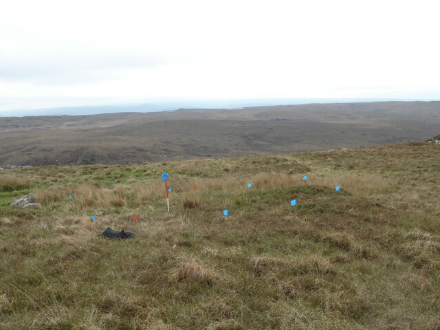 MHG57428_01.JPG