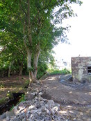 EHG5003_08.JPG