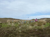 MHG57431_02.JPG