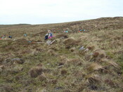 MHG57458_03.JPG