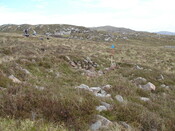 MHG57458_04.JPG