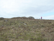 MHG57462_02.JPG