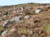 MHG57464_01.JPG