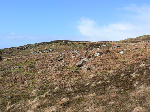 MHG57464_03.JPG