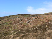 MHG57464_03.JPG