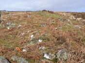 MHG57464_06.JPG