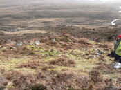 MHG8289_02.JPG
