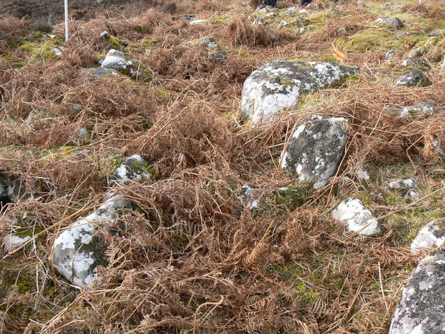 MHG8289_04.JPG