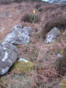 MHG7523_01.JPG