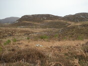 MHG7523_03.JPG