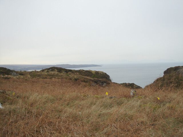MHG7523_04.JPG