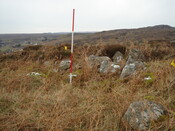 MHG7523_06.JPG