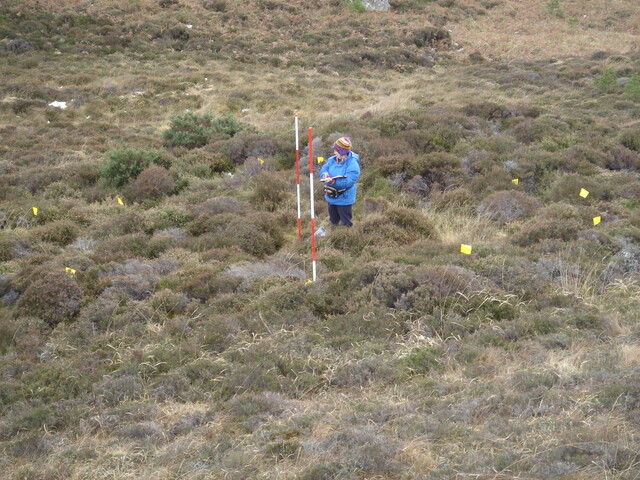 MHG57484_01.JPG
