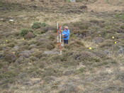 MHG57484_01.JPG