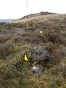 MHG57484_02.JPG