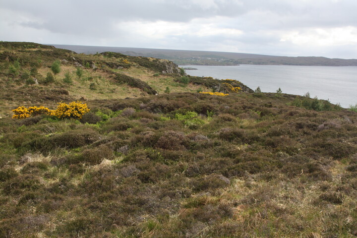 MHG57484_05.JPG