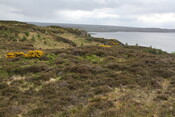 MHG57484_05.JPG