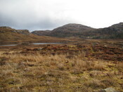 MHG7524_02.JPG