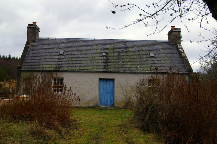 RBC05 028.jpg