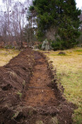 RBC05 029.jpg