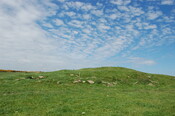 EHG4967_11.JPG