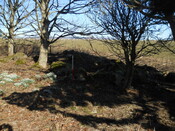 EHG5079_2.JPG