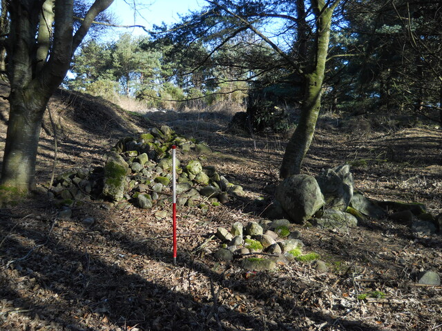 EHG5079_4.JPG