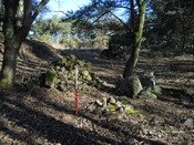 EHG5079_4.JPG