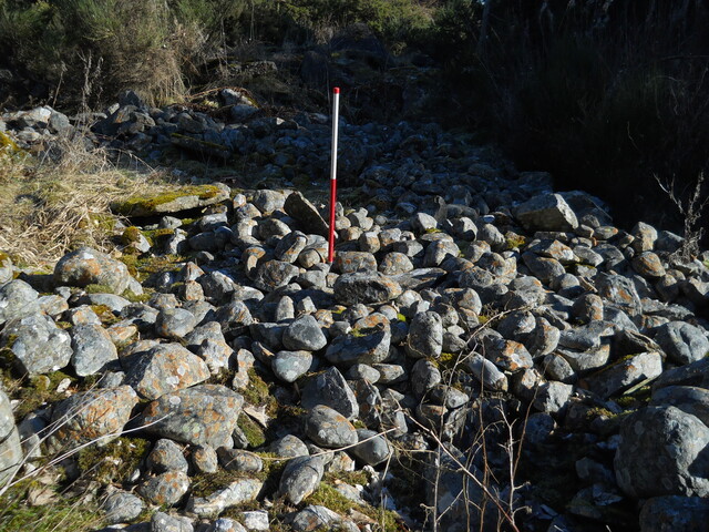 EHG5079_5.JPG