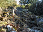 EHG5079_6.JPG