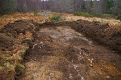 RBC05 053.jpg