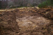 RBC05 055.jpg