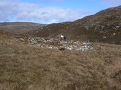MHG7722_04.JPG