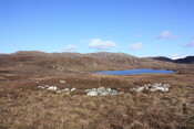 MHG57604_03.jpg