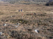 MHG7720_02.JPG