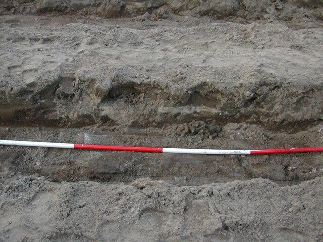 reay 11.JPG