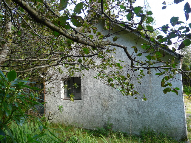 EHG5098_06.JPG