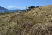 EHG5103_10.JPG