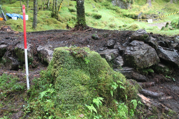 EHG5104_1354.JPG
