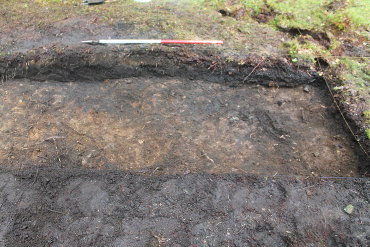 EHG5104_1372.JPG