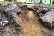 EHG5104_1380.JPG