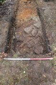EHG5104_1382.JPG