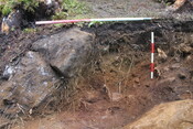 EHG5104_1386.JPG