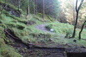 EHG5104_1395.JPG