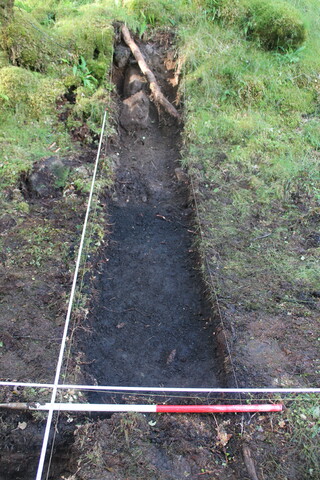 EHG5104_1402.JPG