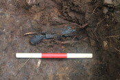 EHG5104_1404.JPG