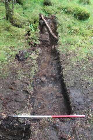 EHG5104_1406.JPG